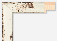 Custom Frame CFSZ8931