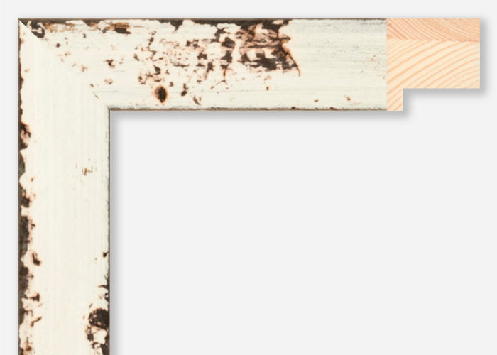 Custom Frame CFSZ8931