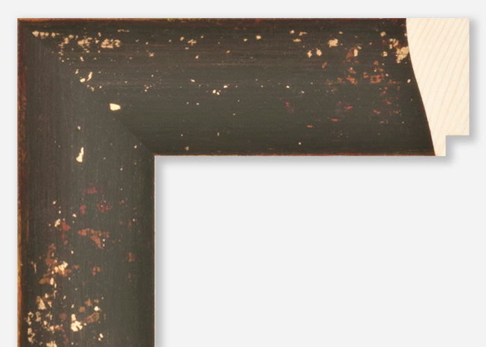 Custom Frame CFSZ8935