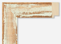 Custom Frame CFSZ8942