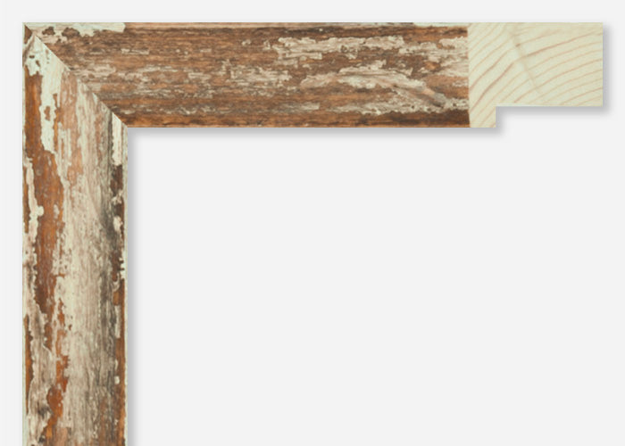 Custom Frame CFSZ8946