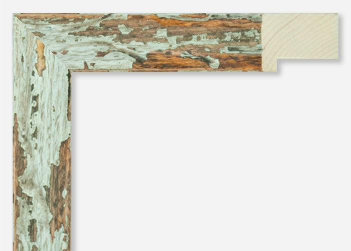 Custom Frame CFSZ8949