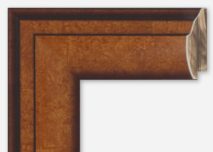 Custom Frame CFSX895-20