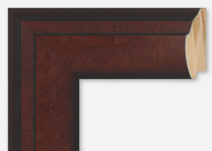 Custom Frame CFSX895-25