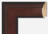 Custom Frame CFSX895-25