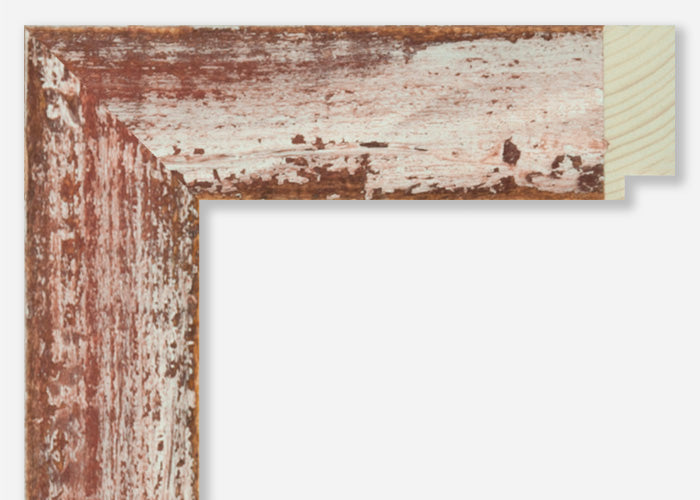 Custom Frame CFSZ8951