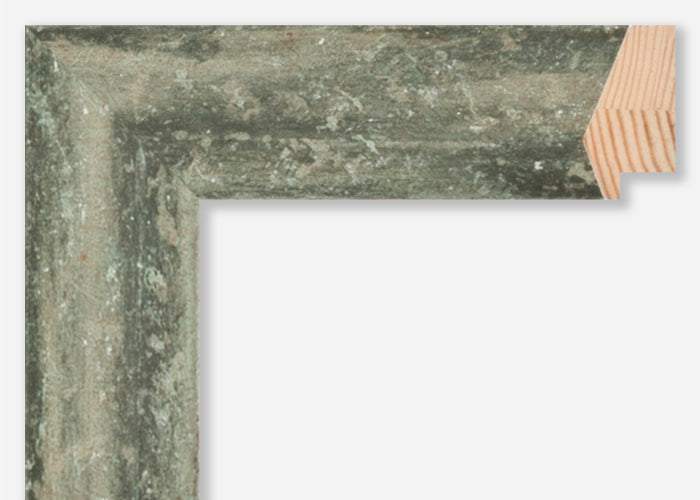 Custom Frame CFSZ8981