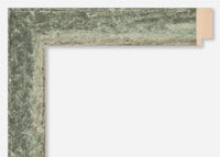 Custom Frame CFSZ8983