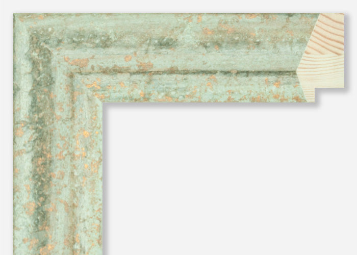 Custom Frame CFSZ8984