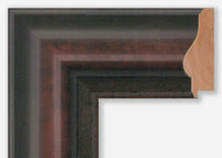 Custom Frame CFSX900-30