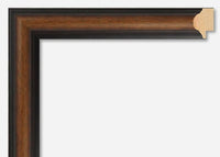 Custom Frame CFSZ9148