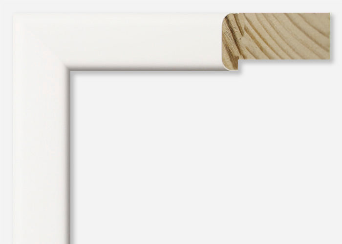 Custom Frame CFSYB109-21