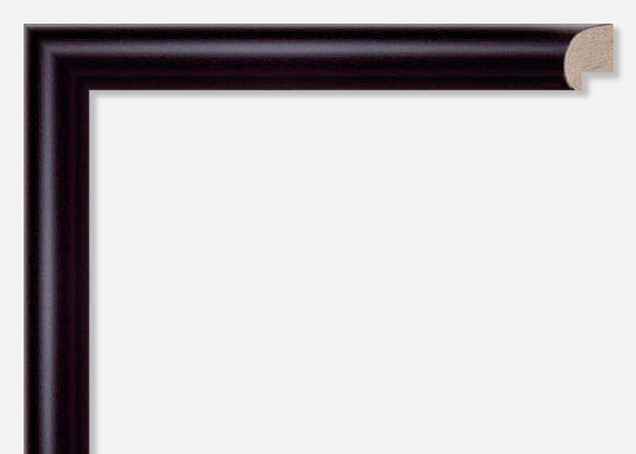 Custom Frame CFSYBG910