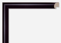 Custom Frame CFSYBG910