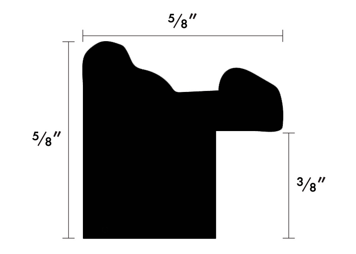 Custom Frame CFSX2300-20x