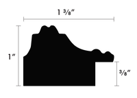 Custom Frame CFSX25-101