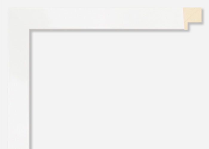 Custom Frame CFSYG1111