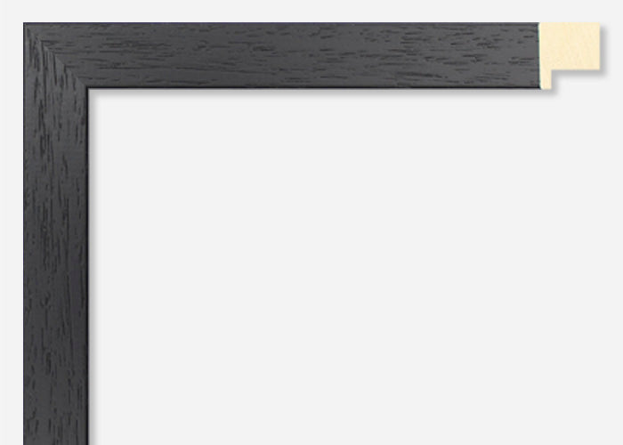 Custom Frame CFSYG1210