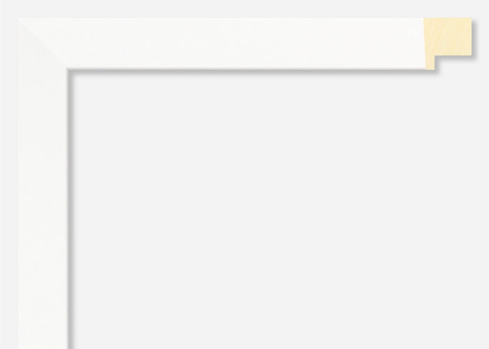 Custom Frame CFSYG1311