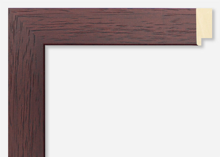 Custom Frame CFSYG2006