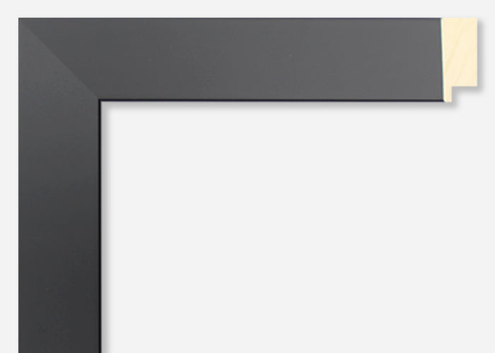 Custom Frame CFSYG2310