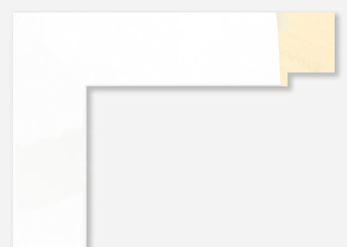 Custom Frame CFSYG4211