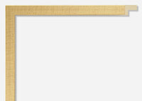 Custom Frame CFSYH4217x