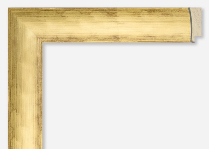 Custom Frame CFSYH5000