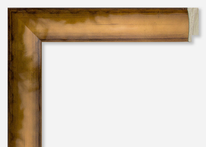 Custom Frame CFSYH5002