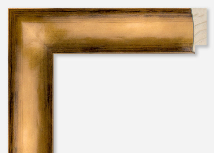 Custom Frame CFSYH5102