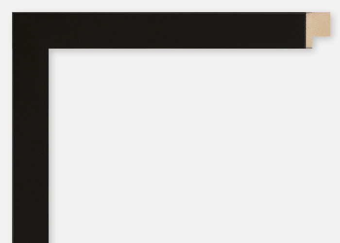 Custom Frame CFSYN1120x