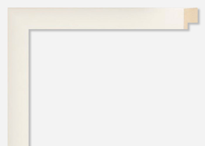 Custom Frame CFSYN1121