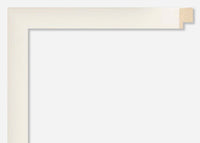 Custom Frame CFSYN1121