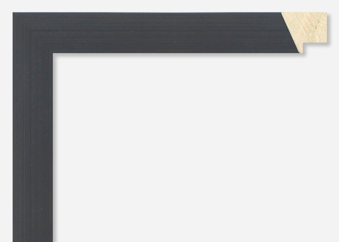 Custom Frame CFSYN2014