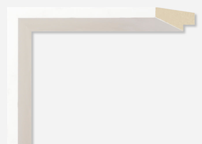 Custom Frame CFSYN2621