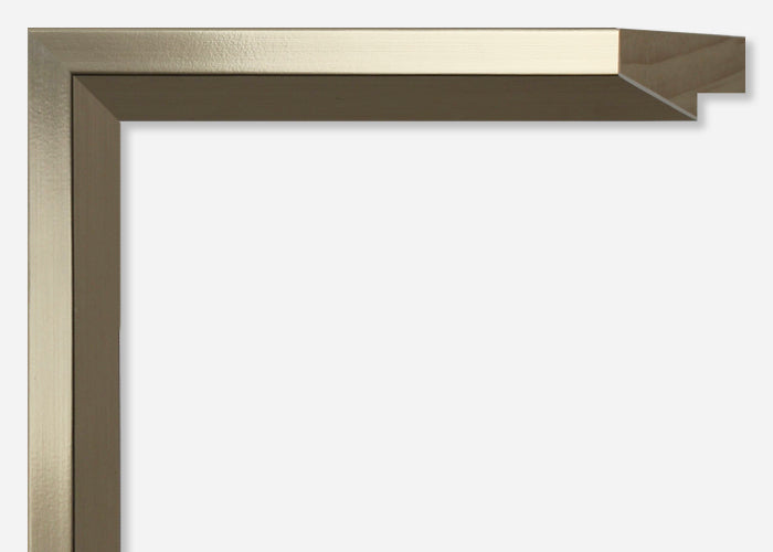 Custom Frame CFSYN2629