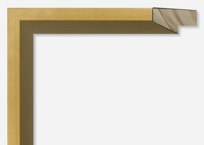 Custom Frame CFSYN2707