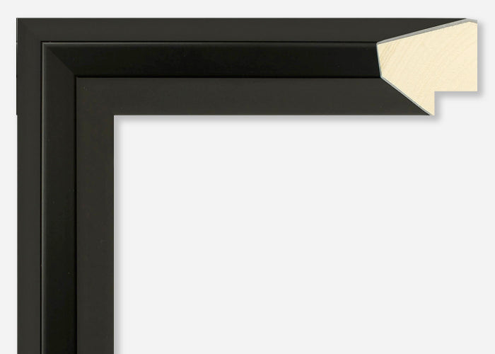 Custom Frame CFSYN4520