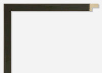 Custom Frame CFSYN4710x