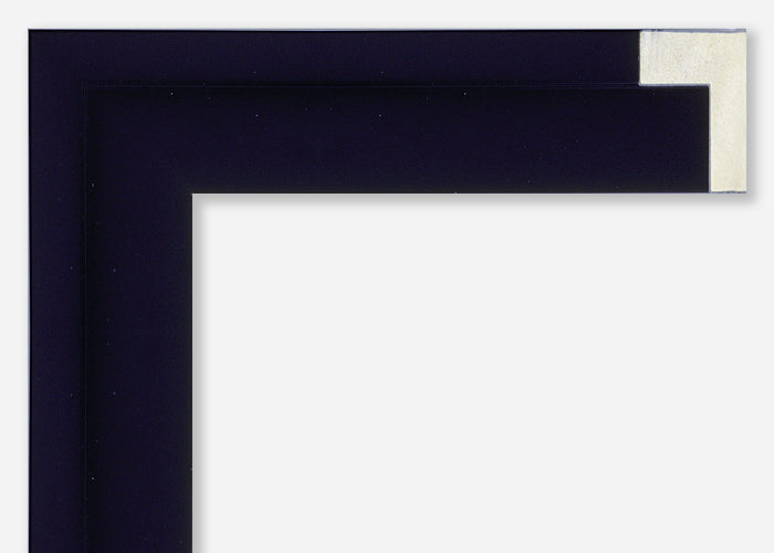 Custom Floater Frame CFSYN6610