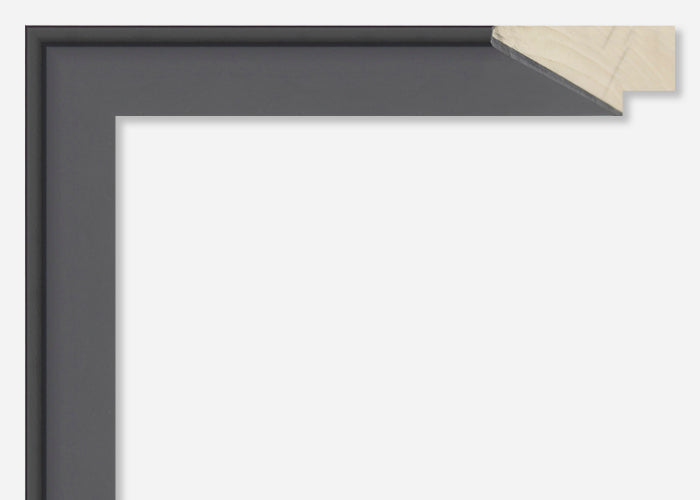 Custom Frame CFSYP2650