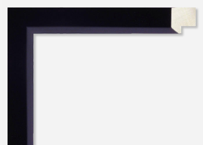 Custom Frame CFSYV110