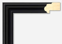 Custom Frame CFSYA1611