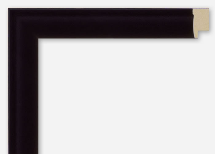 Custom Frame CFSYBG3210