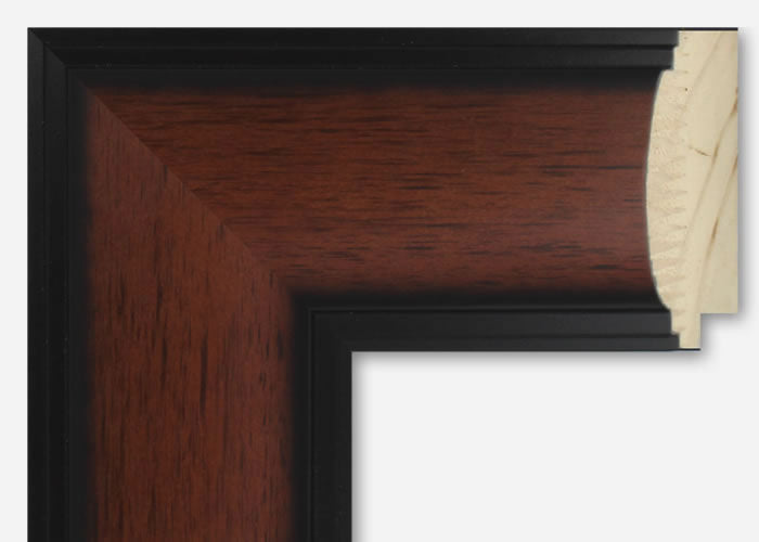 Custom Frame CFSYBR4016