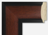 Custom Frame CFSYBR4016