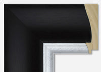 Custom Frame CFSYBR5518