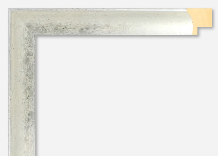 Custom Frame CFSX1300-655