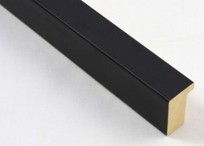 Custom Frame CFSX2400-05