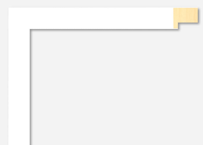 Custom Frame CFSX2400-10